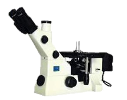 W020210118588755349970