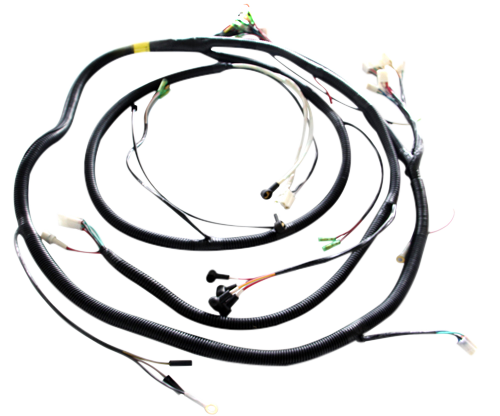 W020240830488190820011