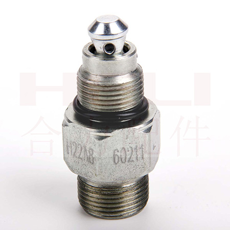 W020210121672089866599