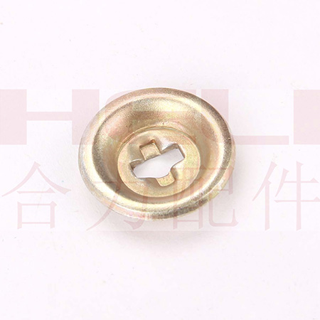 W020210119578665253163