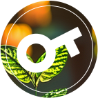 ����Ǯ������ - ��һ����ȫ����֧��Ǯ������