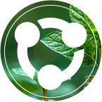 ����Ǯ������ - ��һ����ȫ����֧��Ǯ������